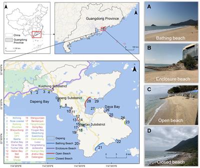 POIs-based public preferences mapping on imbalanced supply-demand of recreation services can support sustainable coastal beach management